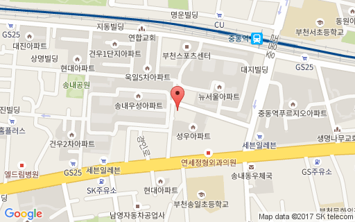 카나나피자약도