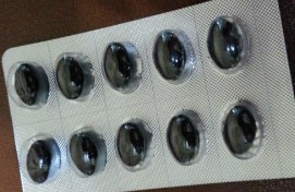이브앤비 플러스
