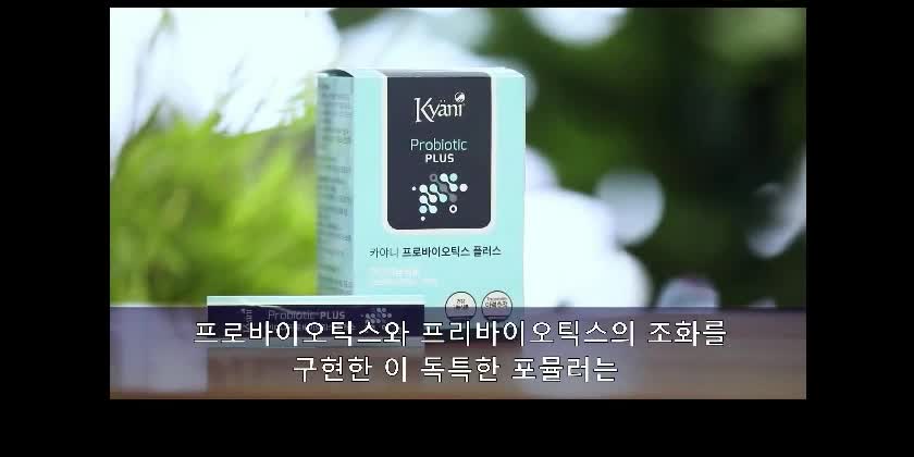 카야니 프로바이오틱스 플러스
