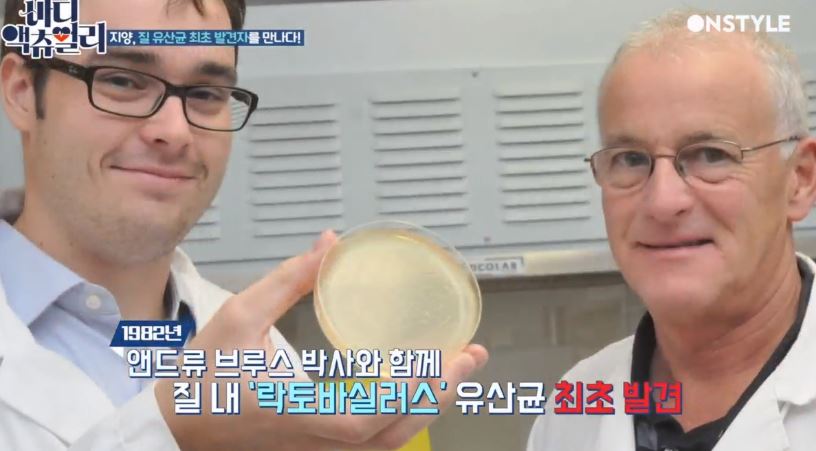 락토바실러스 유산균다이어트