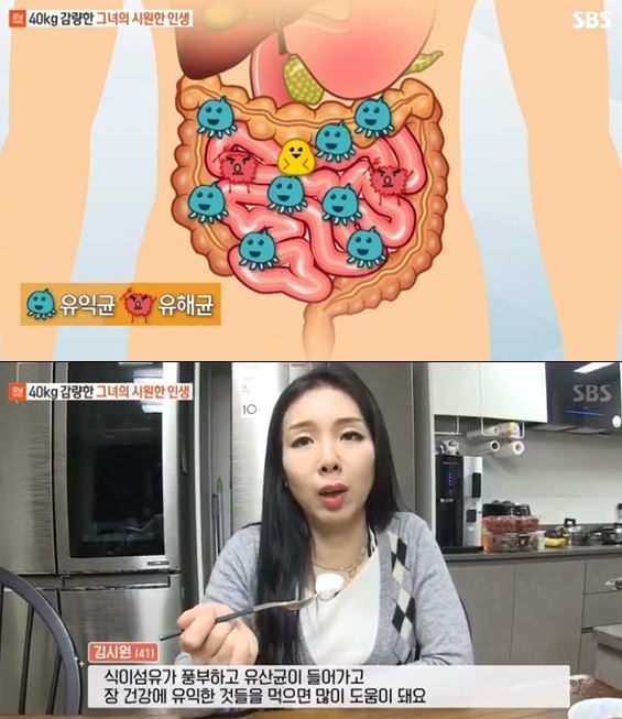락토바실러스 유산균다이어트