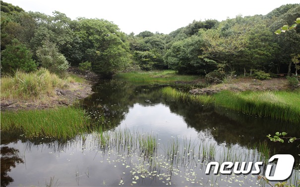 동산후박