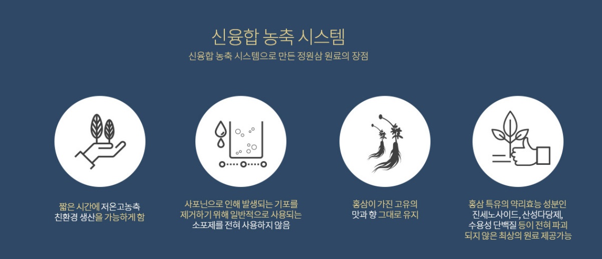짜먹는홍삼정