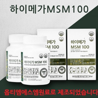 메가엠에스엠100(Mega MSM100)