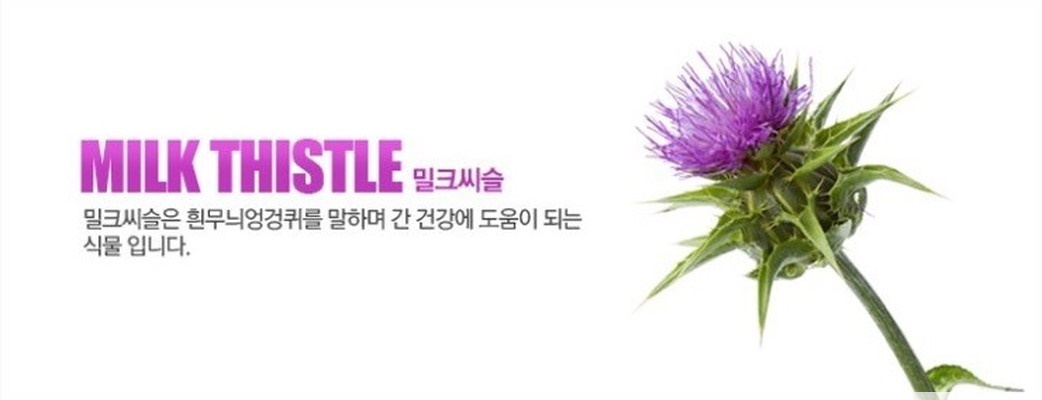 리버포뮬러