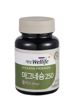 마그네슘250