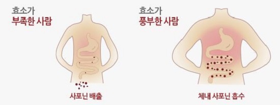 홍삼이 딱이야